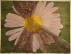 Marder watercolor
